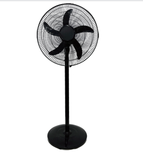 Stand Fan