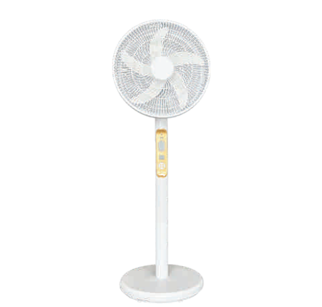 Stand Fan