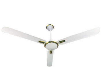 AC Ceiling Fan