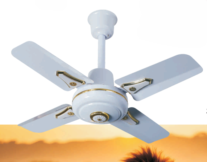 AC Ceiling Fan