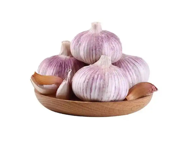 White Garlic