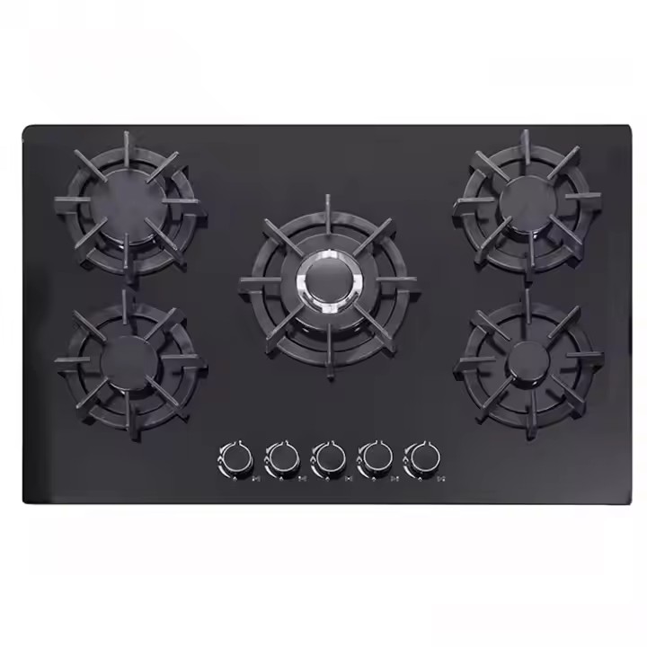 Gas Stove